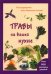 Травы на вашей кухне