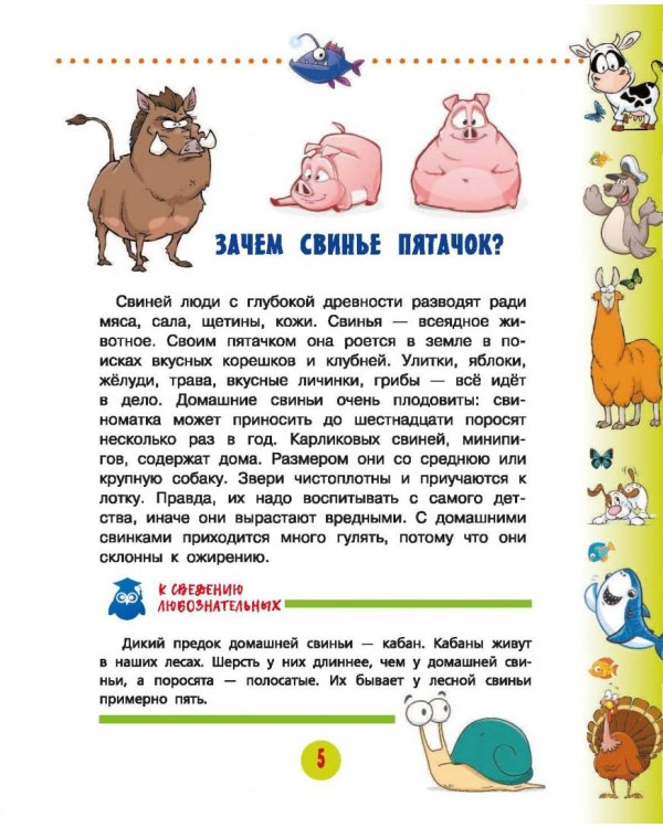 Животные для малышей