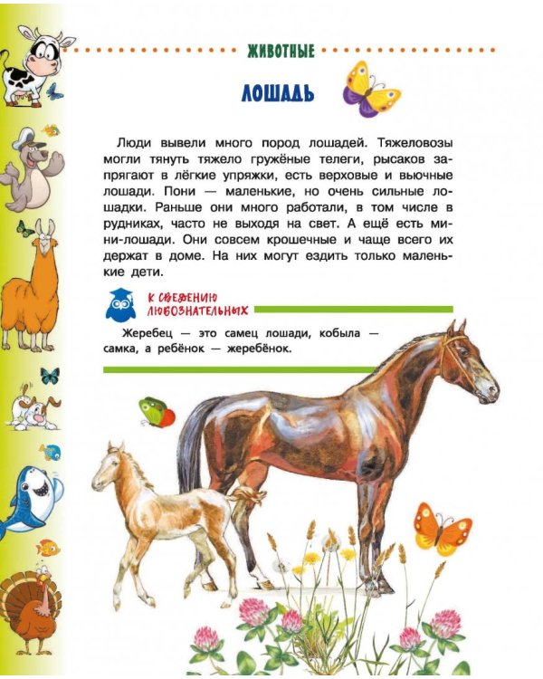 Животные для малышей