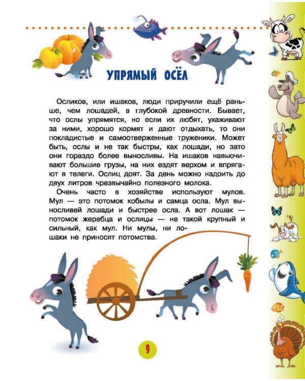 Животные для малышей
