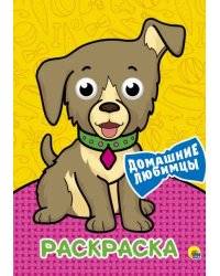 Раскраска А4. Домашние любимцы