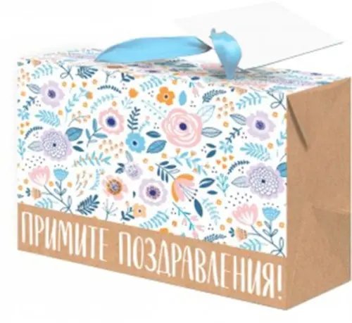 Обложка книги «Пакет бумажный "Поздравления"»