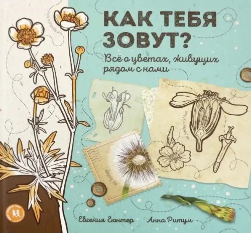 Мир вокруг нас Как тебя зовут? Всё о цветах, живущих рядом с нами