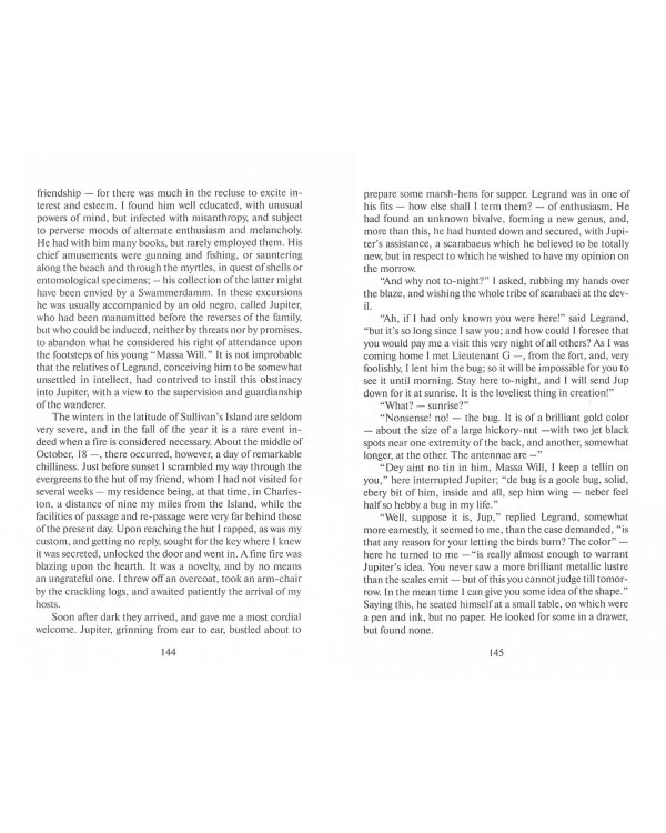 Дополнительное изображение книги «Черный кот»