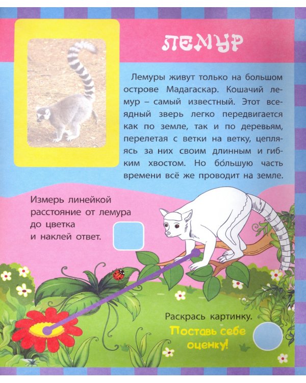 Звери. Сборник развивающих заданий с наклейками: Загадки, пословицы, скороговорки. 40 интерактивных заданий. Интересные факты о зверях