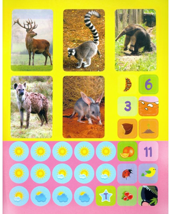 Звери. Сборник развивающих заданий с наклейками: Загадки, пословицы, скороговорки. 40 интерактивных заданий. Интересные факты о зверях