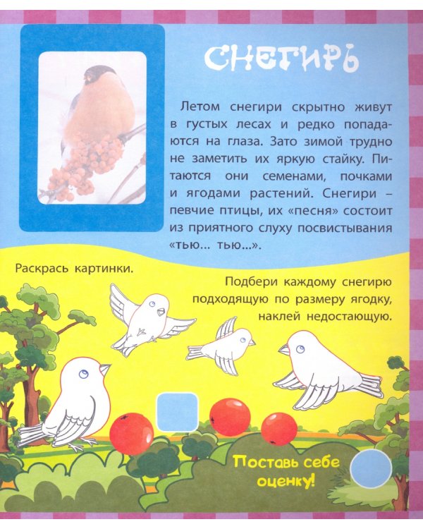 Птицы. Сборник развивающих заданий с наклейками. Загадки, пословицы, скороговорки. 40 заданий