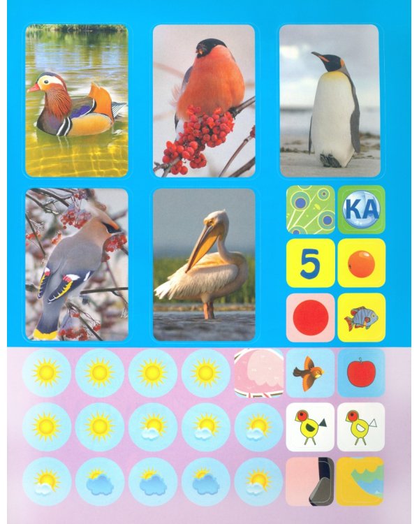 Птицы. Сборник развивающих заданий с наклейками. Загадки, пословицы, скороговорки. 40 заданий