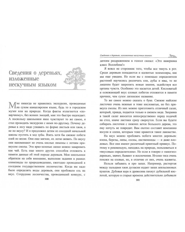 О чём шумит лес?