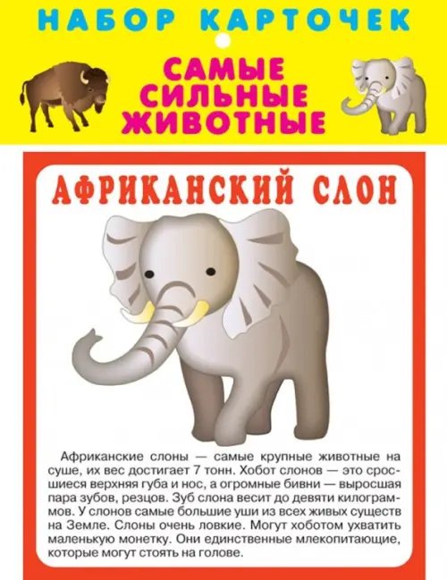 Набор карточек. Самые сильные животные Набор карточек. Самые сильные животные