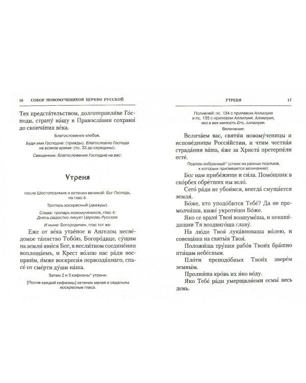 Собор новомучеников и исповедников Церкви Русской