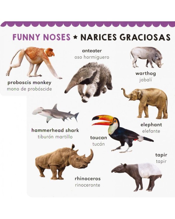 Amazing Animals. Animales Increibles