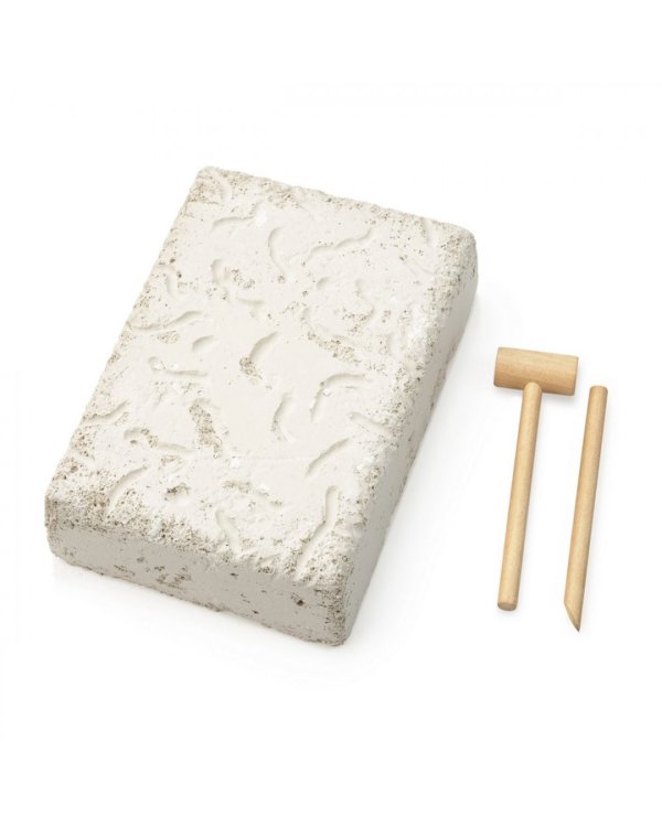 Большой набор для проведения раскопок. Рыбы