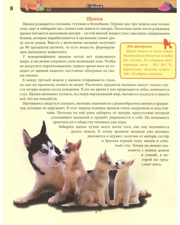 Хочу все знать. Собаки