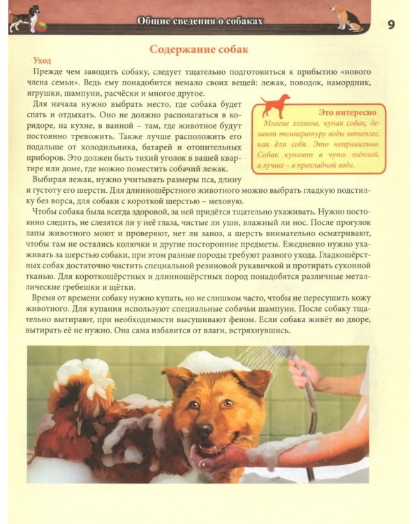 Хочу все знать. Собаки