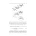 Поляризационная оптика Поляризационная оптика