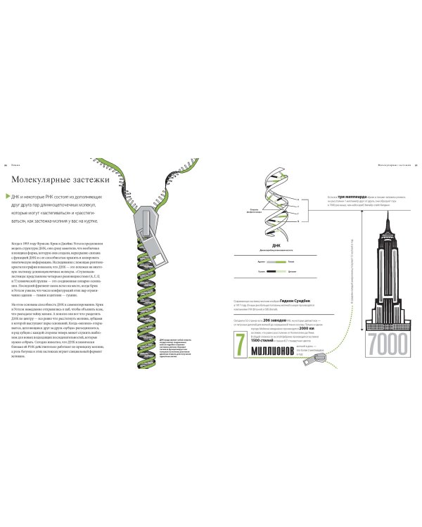 Большая книга аналогий. Антиучебник, который поможет влюбиться в науку