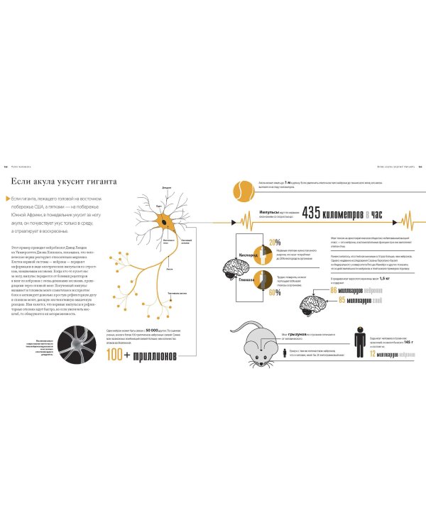 Большая книга аналогий. Антиучебник, который поможет влюбиться в науку