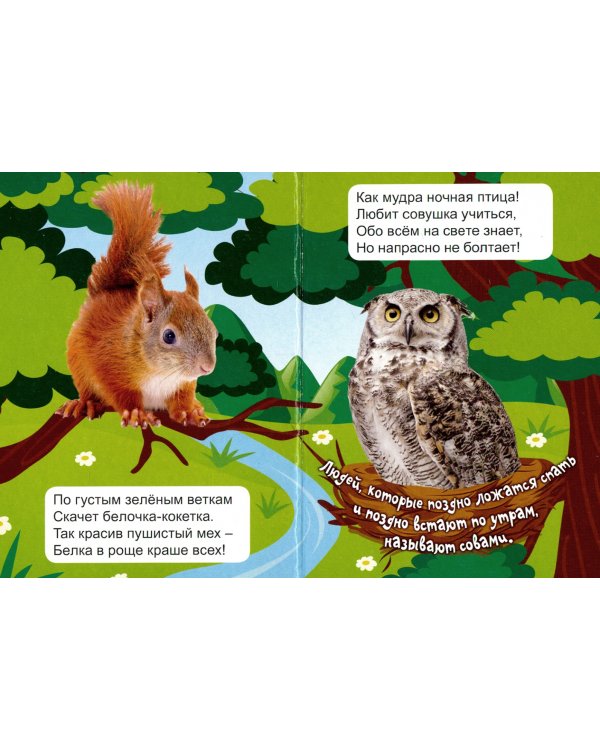 Лесные животные.Первые книжки