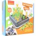 Обучающая игра. Акробаты