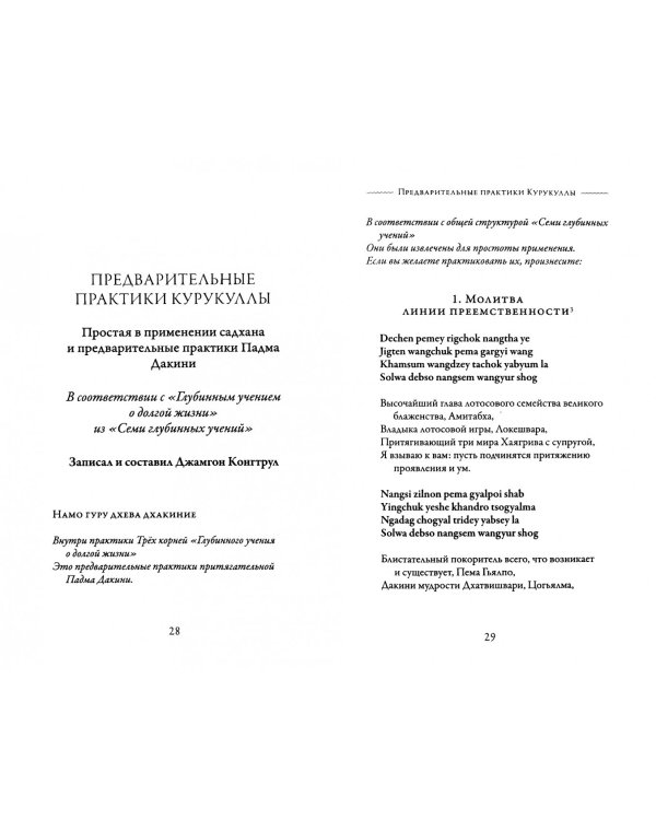 Активность дакини. Динамическая игра пробуждения. Сборник