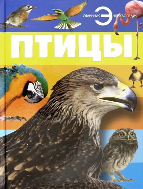 Отличная энциклопедия Птицы