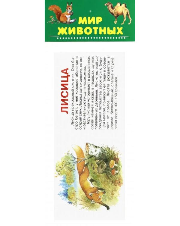 Набор карточек. Мир животных