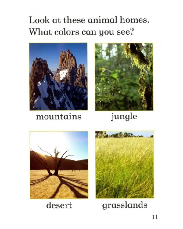 Дополнительное изображение книги «BBC Earth. Animal Colors»
