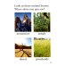 Дополнительное изображение книги «BBC Earth. Animal Colors»