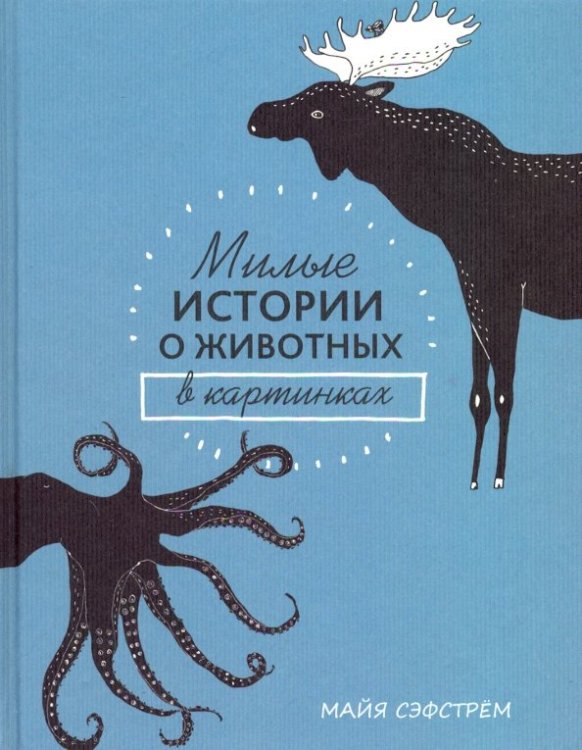 Милые истории о животных в картинках Милые истории о животных в картинках