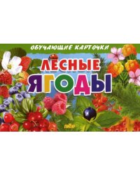 Лесные ягоды. Обучающие карточки
