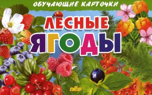 Обучающие карточки и плакаты Лесные ягоды. Обучающие карточки