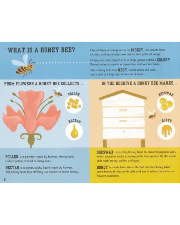 The Bee Book