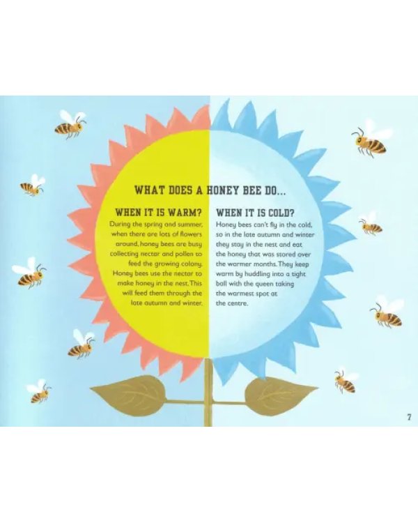 The Bee Book