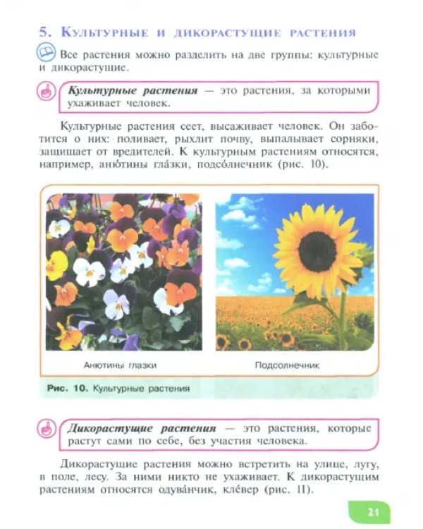Дополнительное изображение книги «Технология. Цветоводство и декоративное садоводство. 5 класс. Учебник. ФГОС ОВЗ»