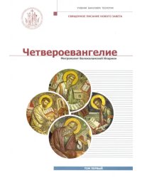 Четвероевангелие. Том 1. Учебник бакалавра теологии