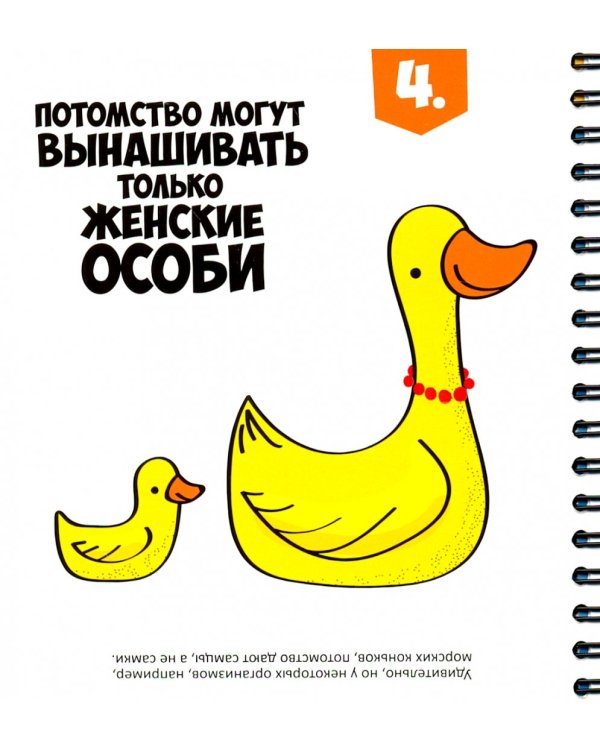 Компактные развивающие игры в дорогу. Верю - не верю
