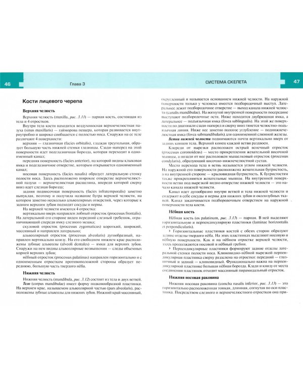 Атлас анатомии и физиологии человека. Учебное пособие