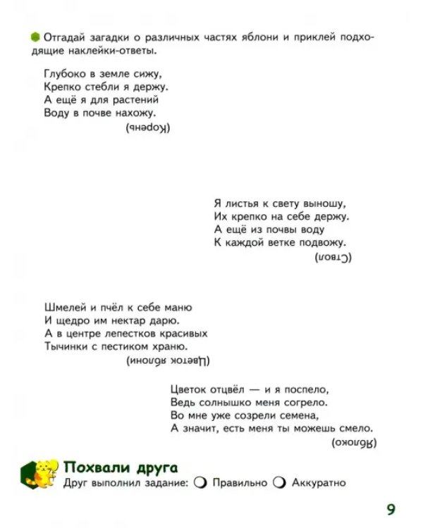 Знакомлюсь с растениями. 6-7 лет. Развивающая тетрадь. 1-е полугодие