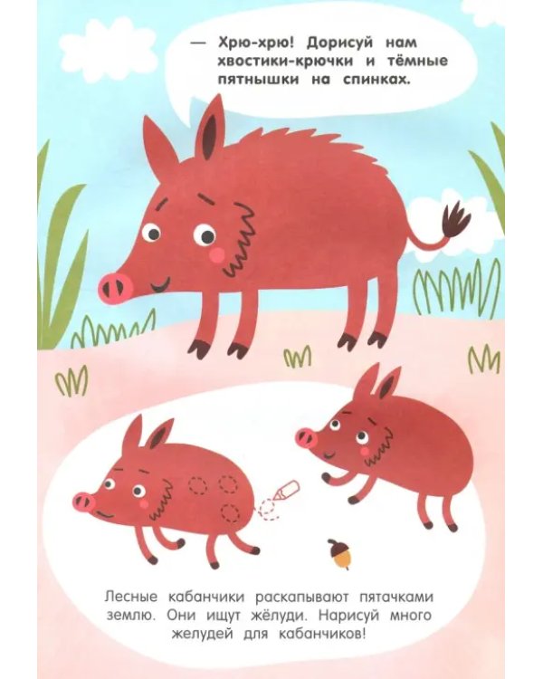 Лесные приключения 2+. Книжка с заданиями