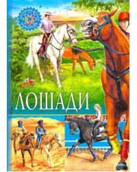 Лошади