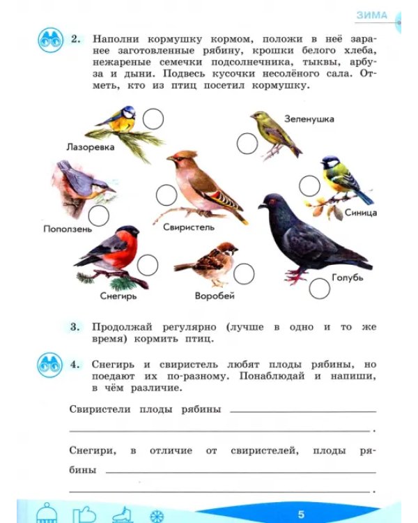 Что мы знаем про то, что нас окружает? 1-4 классы. Тетрадь-практикум. В 2-х частях. ФГОС. Часть 2