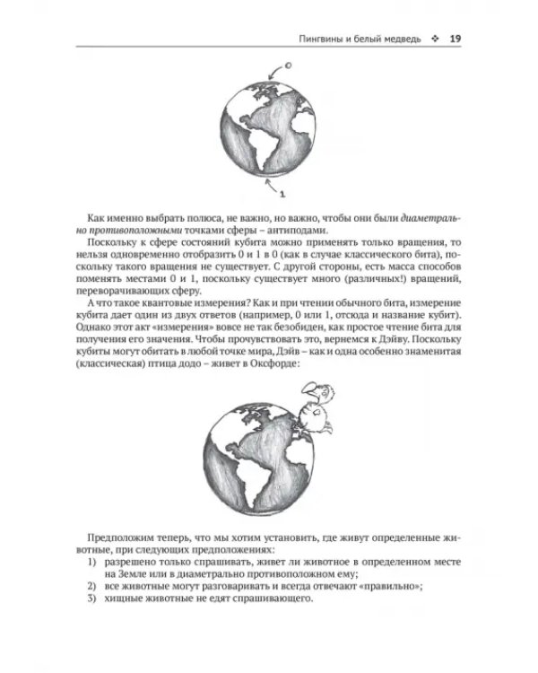 Дополнительное изображение книги «Изображение квантовых процессов. Начальный курс квантовой теории и рассуждений на диаграммах»