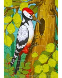 Планшетный пазл. Дятел, 15 элементов