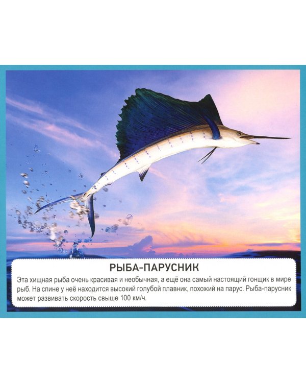 Дополнительное изображение книги «Разумные карточки. Подводный мир»