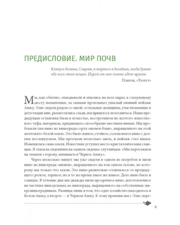 Почва и вино: путешествие по вкусам и ароматам