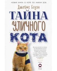 Тайна уличного кота