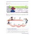 Единицы измерения. Рабочая тетрадь для детей 6-7 лет. ФГОС ДО