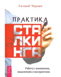 Практика сталкинга. Работа с вниманием, мышлением и восприятием