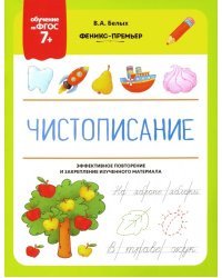 Чистописание. ФГОС 7+